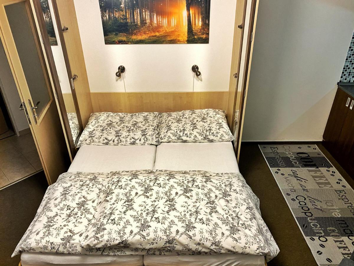 Apartman Modra Hvezda Rokytnice nad Jizerou Eksteriør billede