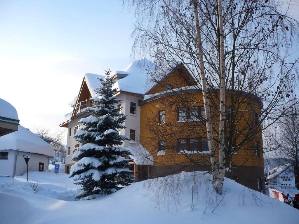 Apartman Modra Hvezda Rokytnice nad Jizerou Eksteriør billede
